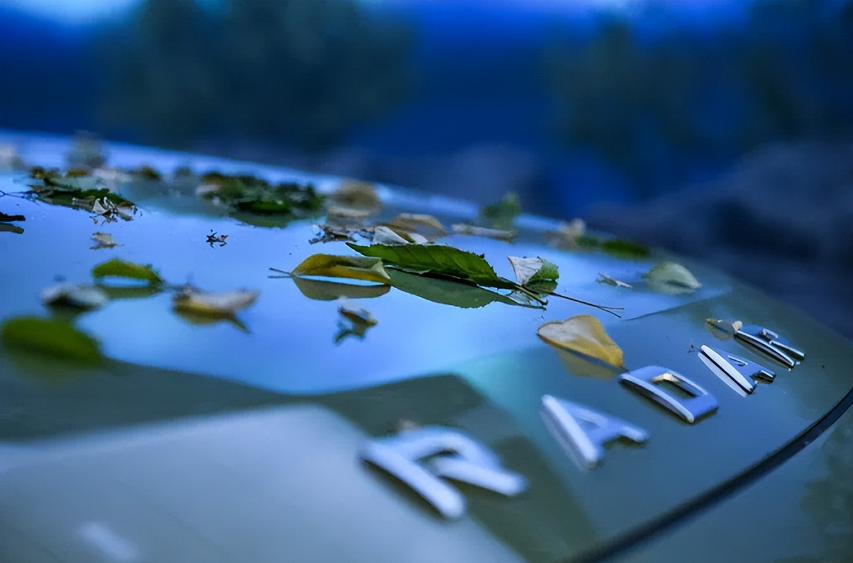 �״�ɹ��6�³ɼ���������������������ͷ��Ҫ��Ƥ������˹����