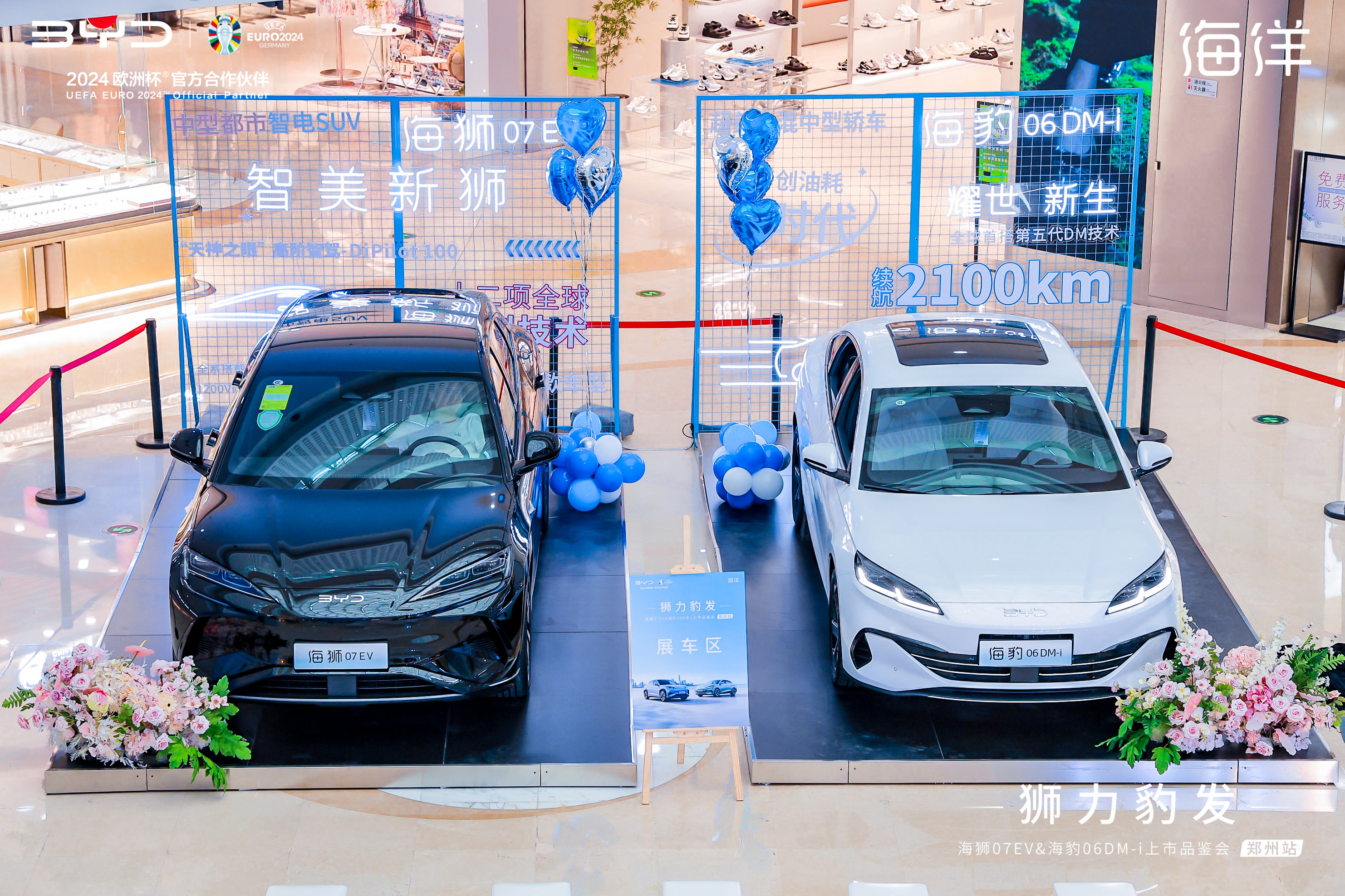 ʨ����������ʨ07EV�뺣��06 DM-i֣������