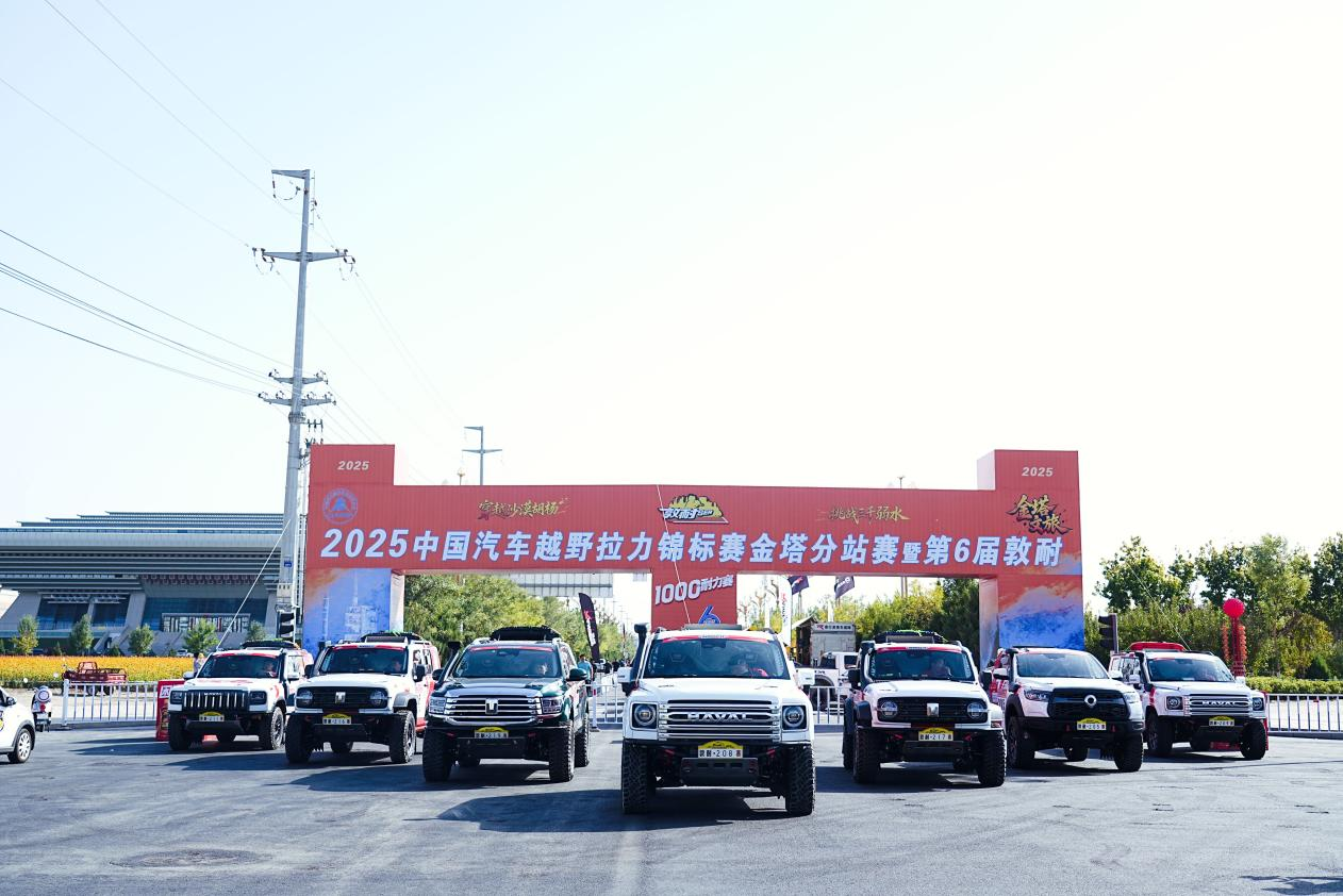 ����κ����˳�����������������ʶ�2025������T2��