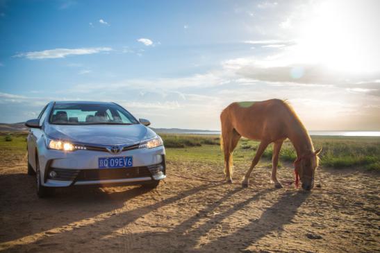 ��ȫ�¿�����1.2T��ʼ������Խ��Խ���й���