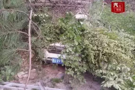 �й��ȫ������Ʒ�ƣ��ؼ�ʱ���ܾ����ĳ����Ǻó�