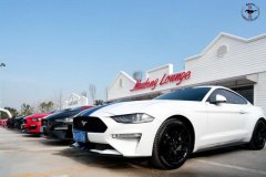 ��Ư���ļ�ǿ���⳵��û�����˭��V8�����������������