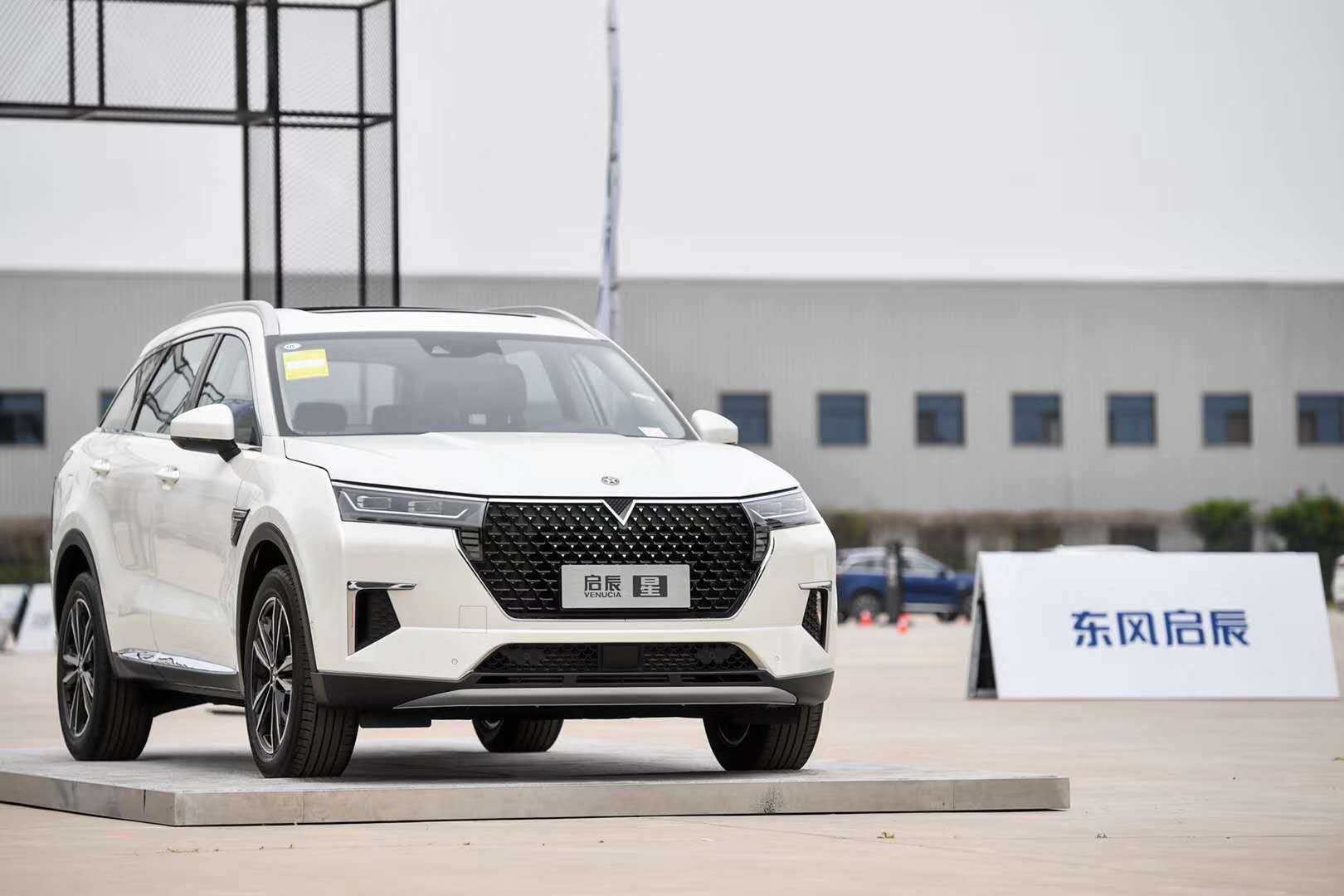 ���ñȴ��������SUV�������������ϻ��ж����ղ���Ѫ��