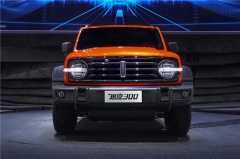 WEY�׿����ܺ���ԽҰSUV ��̹��300�� ȫ���׷�