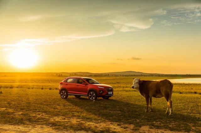 5��Ԫ��ȫϵ����ESP"����������SUV" ��3x PLUS��ʽ����