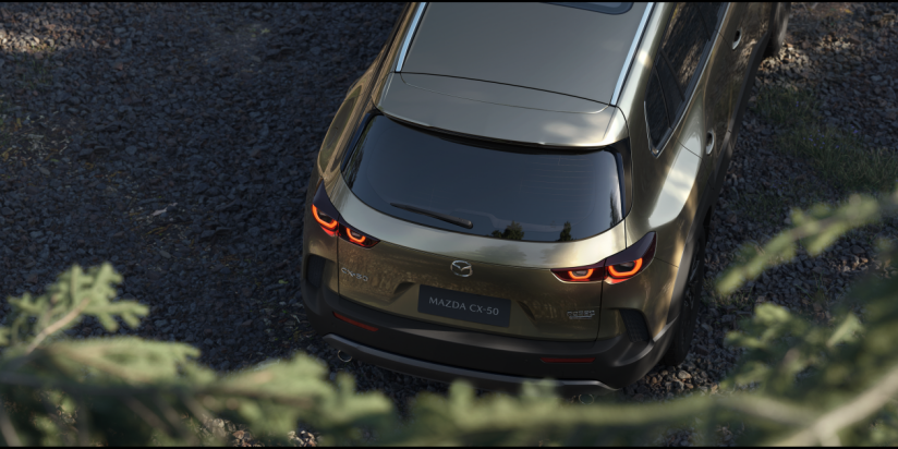 ȫ��Ʒ�ʱ�׼��CX-50���ܷ��Ϊ�������Դ�ľ�������