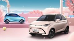 ����ʰ�¡�����Lumin��������èmini��˭��ͨ�ڴ���С���컨�壿