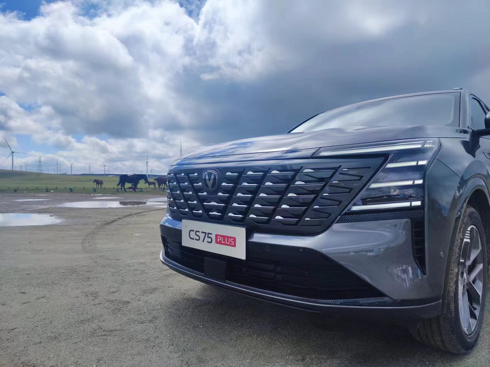 ȼ�ͳ���Ϊ�������ĵ��£���Ứ10��������̨����SUV��